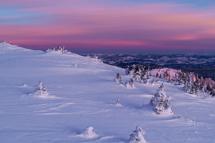 Jahorina-Natur
